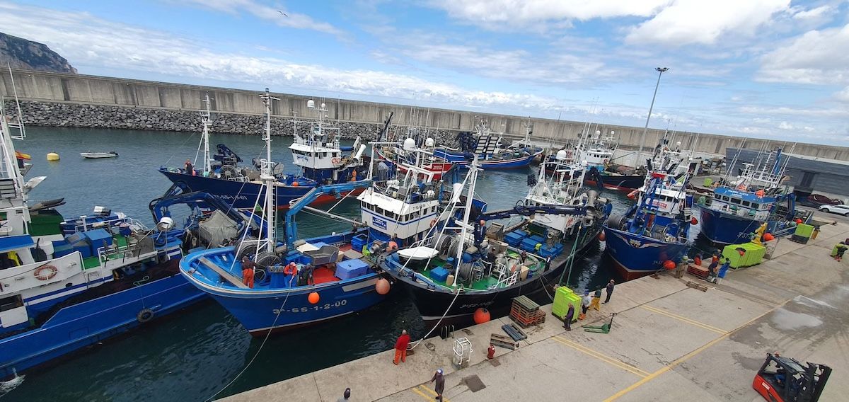 IPesqueras's tweet photo. #Puertos | Cantabria adjudica por 3,75 millones de euros la ampliación de la línea de atraque y la zona de descarga de la flota de Laredo

https://t.co/xWCadUP5Ze https://t.co/MeLE10cqBD