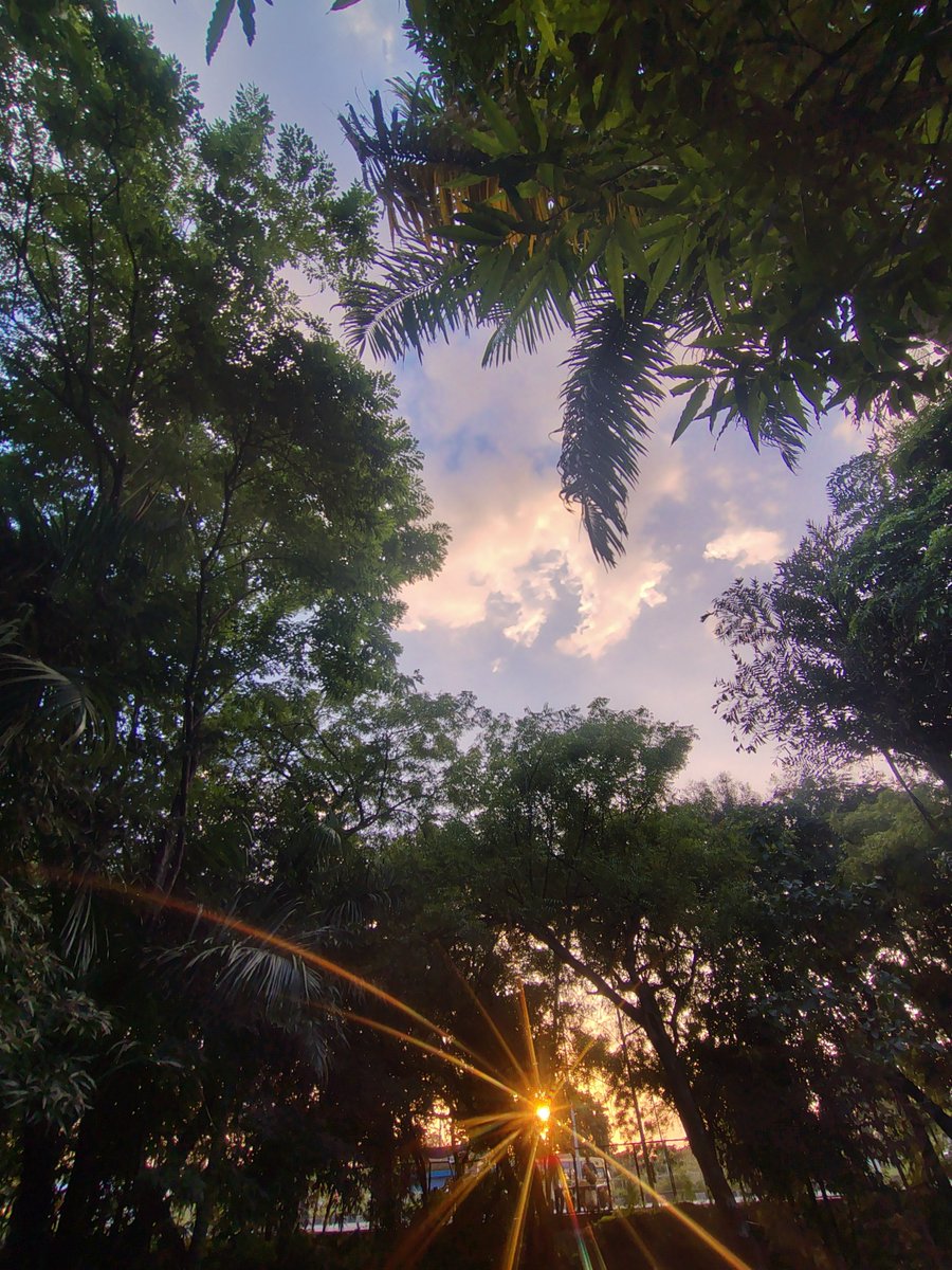 Kworldnature's tweet photo. ☀️ https://t.co/0K3AyTlBcA