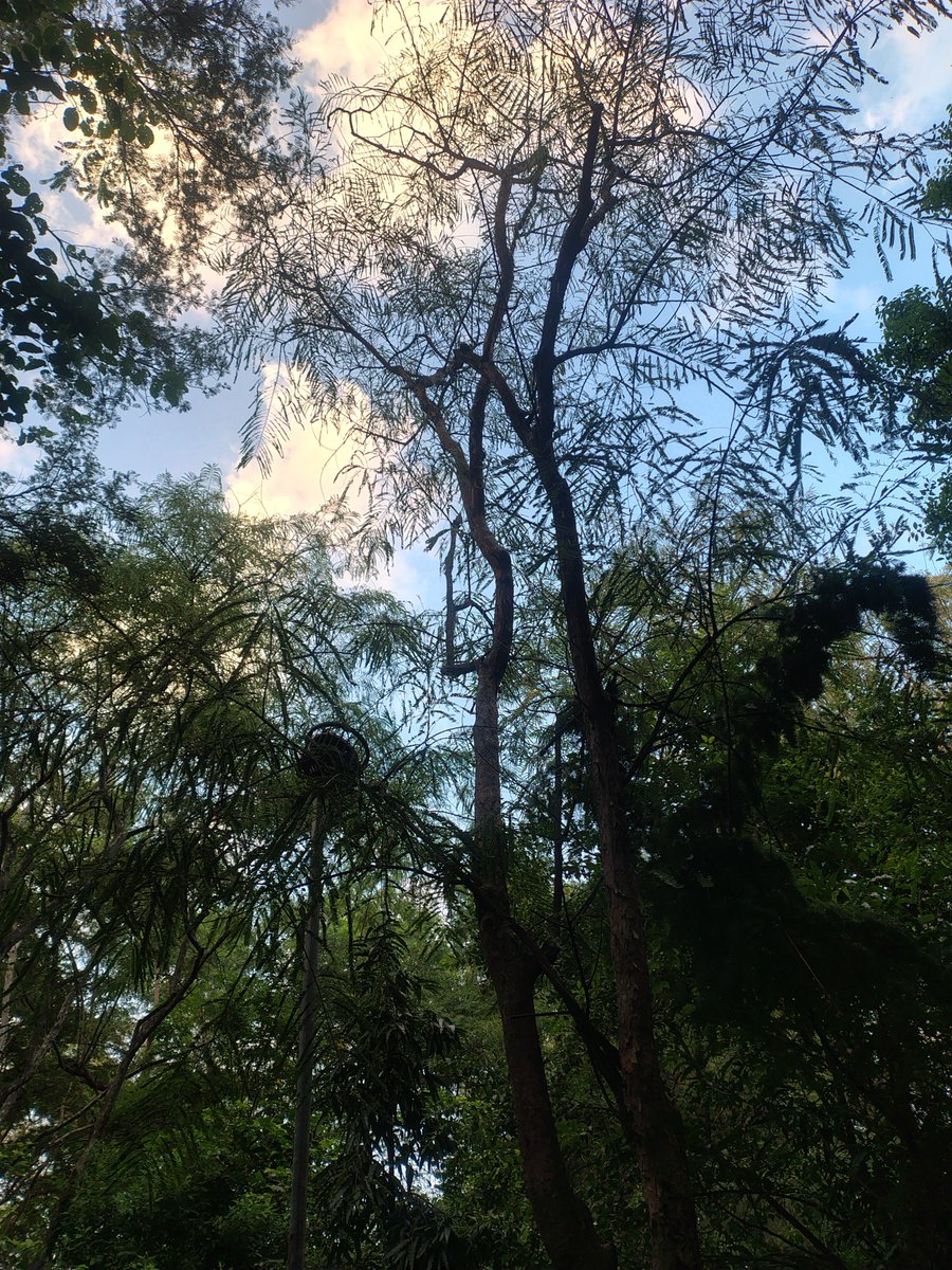 Kworldnature's tweet photo. ☀️ https://t.co/0K3AyTlBcA