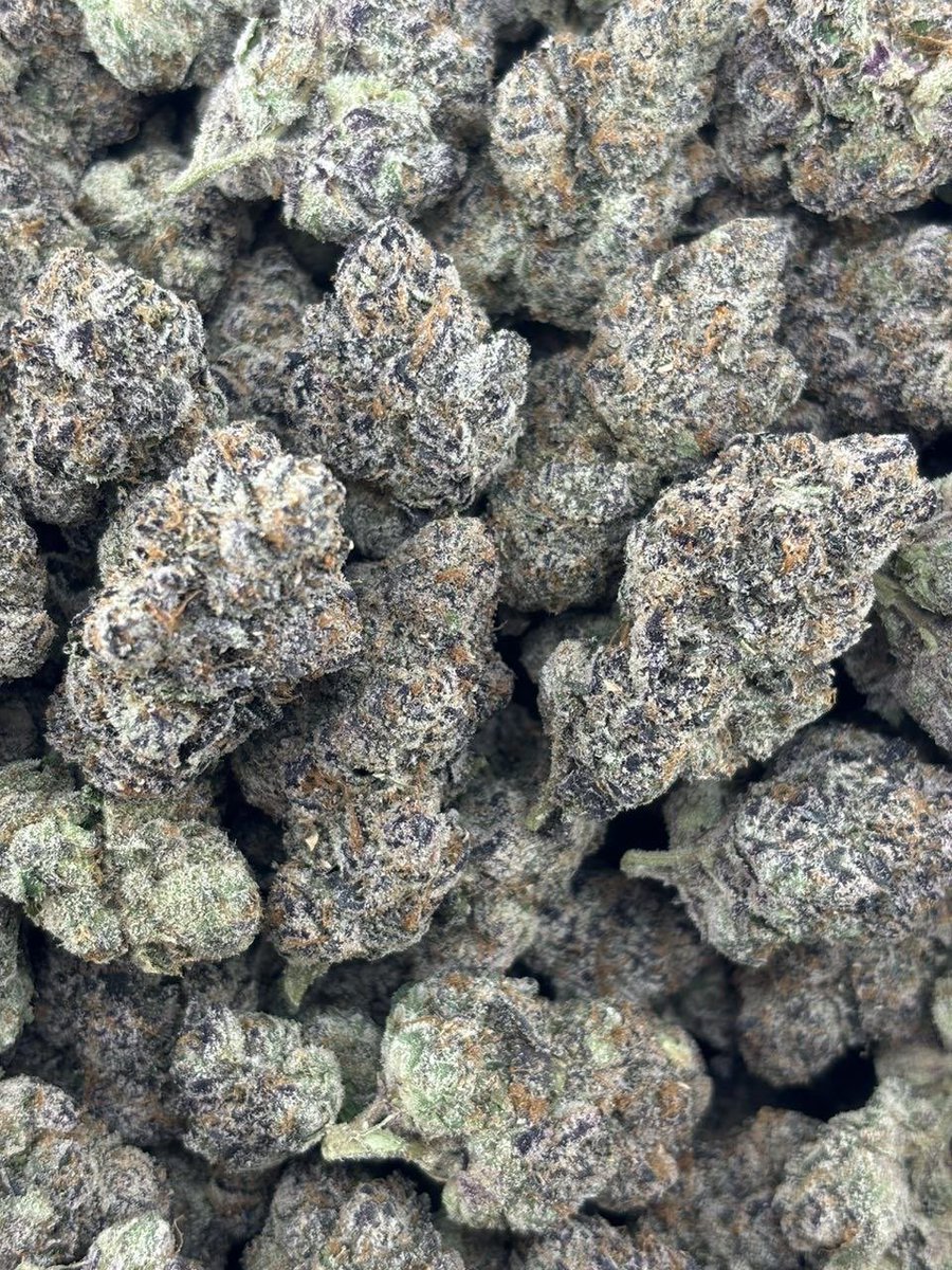 Daquanddw's tweet photo. Chureito Pagoda weed, Hakone Shrine weed, Hiroshima Peace Memorial Park weed, Atomic Bomb Dome weed, Itsukushima Shrine weed, Miyajima weed, Osaka Aquarium Kaiyukan weed, Shinjuku Gyoen weed, Ueno Park weed, Himeji Castle weed, Nikko Toshogu Shrine weed https://t.co/mBgfwj0APp