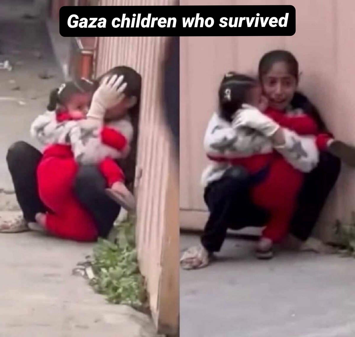Ajmal_804's tweet photo. فلسطین کے بارے میں بات کرنا بند نہ کریں!🇵🇸 https://t.co/Dum7VK2iUp