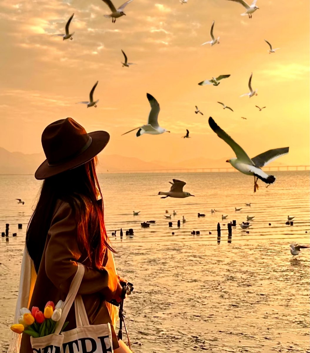 SamuelHoffgvpr's tweet photo. The gulls soar, waves crash against the shore—wind’s strong, memories deep, a little joy’s all we need today. https://t.co/RYhocRiFSz