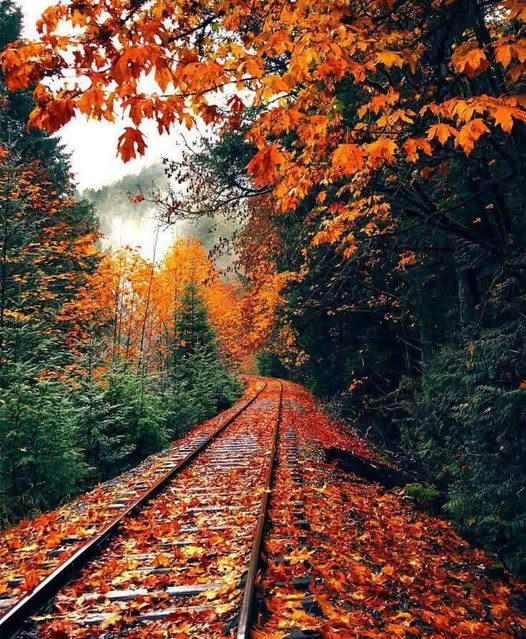 PG_23March's tweet photo. Good Morning. Happy Friday.🍀🍀🍀🍀🍀☕️ https://t.co/7vK7ufqSPi