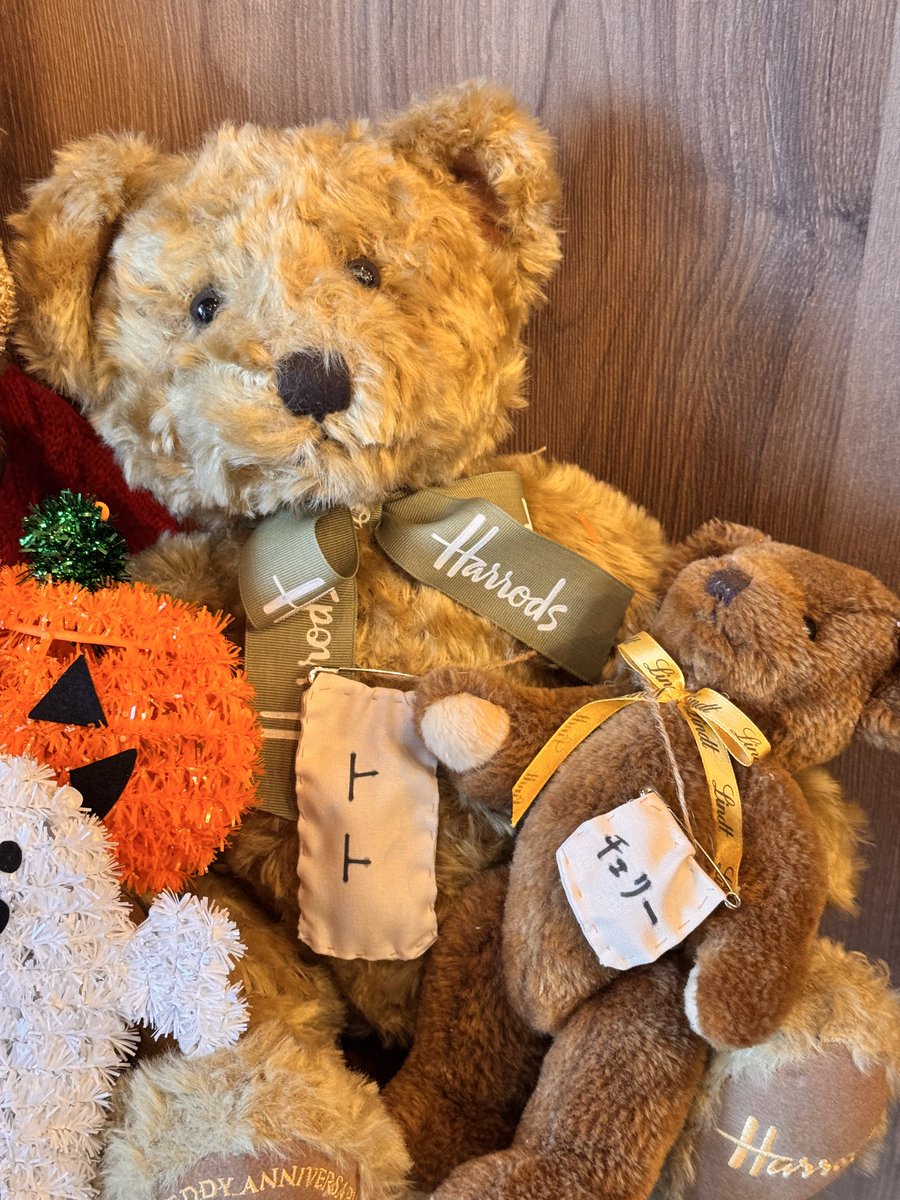 cafe2015518's tweet photo. 皆様から頂い��名前は
他のお友達にも付けさせて頂きました
ありがとございました
cafeひとり
越谷市東越谷8-15-4
#越谷カフェ
#越谷ランチ https://t.co/dKnzVHmA8W