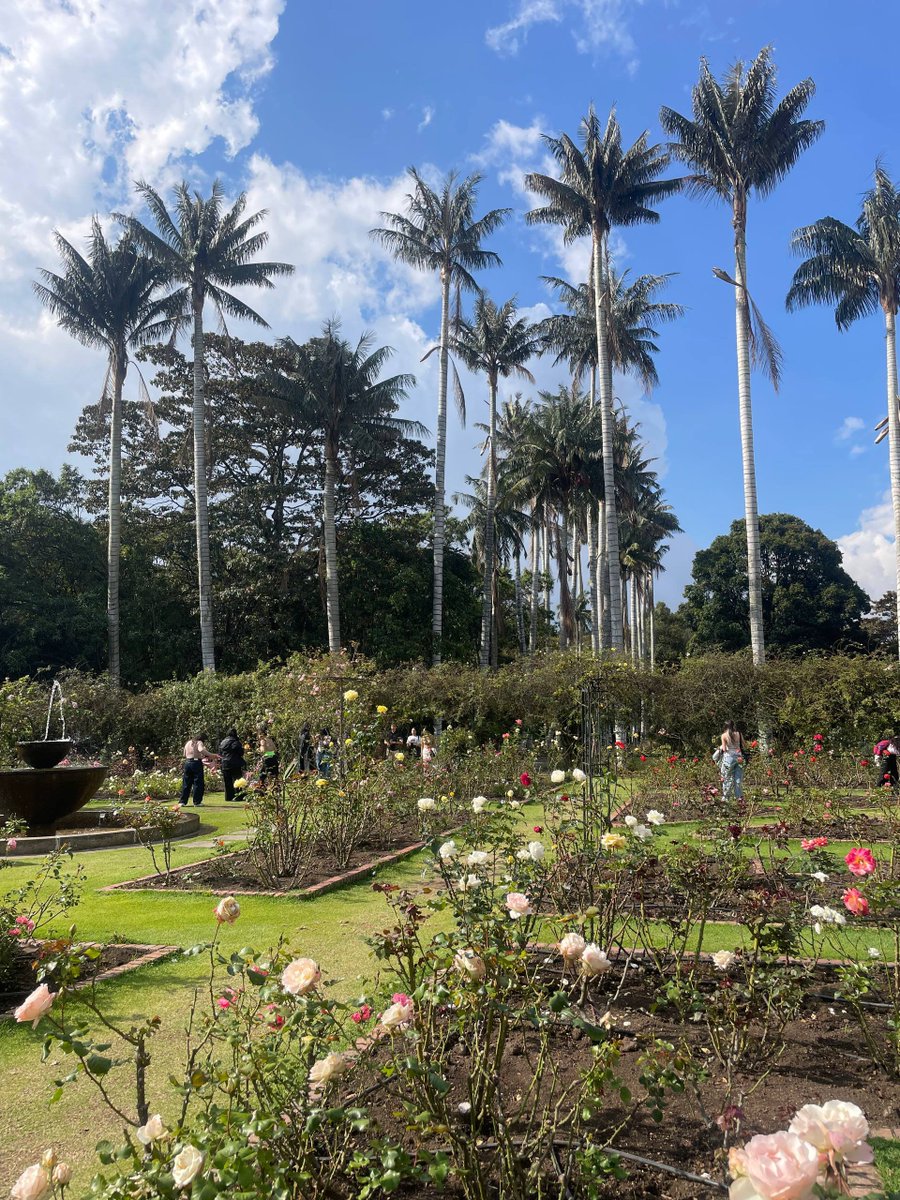 jeonsweetly's tweet photo. La cantidad de armys que habían en el jardín botánico 🥹 https://t.co/DcmYHGonMP
