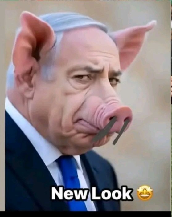 karimullah30108's tweet photo. @netanyahu احسن الخنزير وأشرف الخنزير https://t.co/tCjPyxZIOg