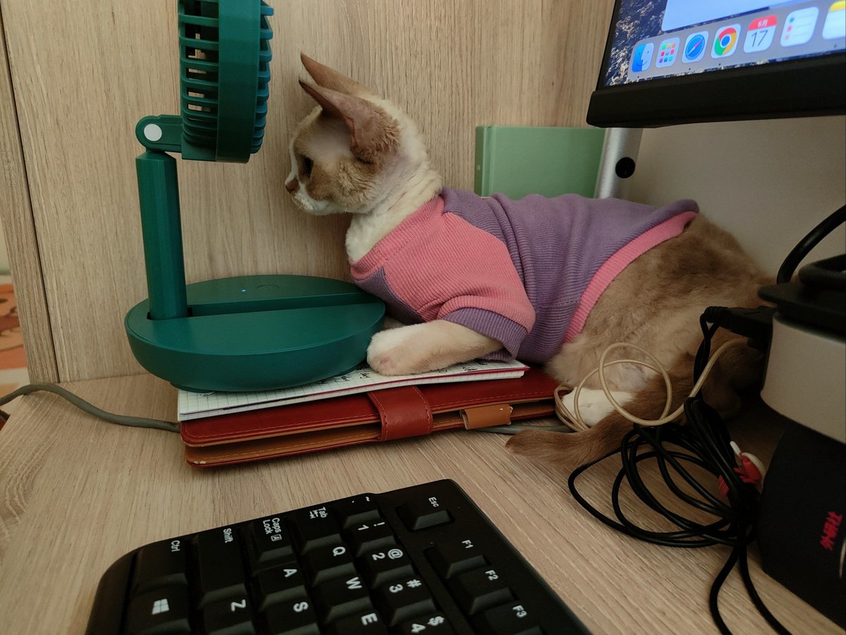 IvyCarrproq's tweet photo. [The clever little thing's tease made the busy worker sigh with a faint, joking regret.] https://t.co/N2BWoM411b