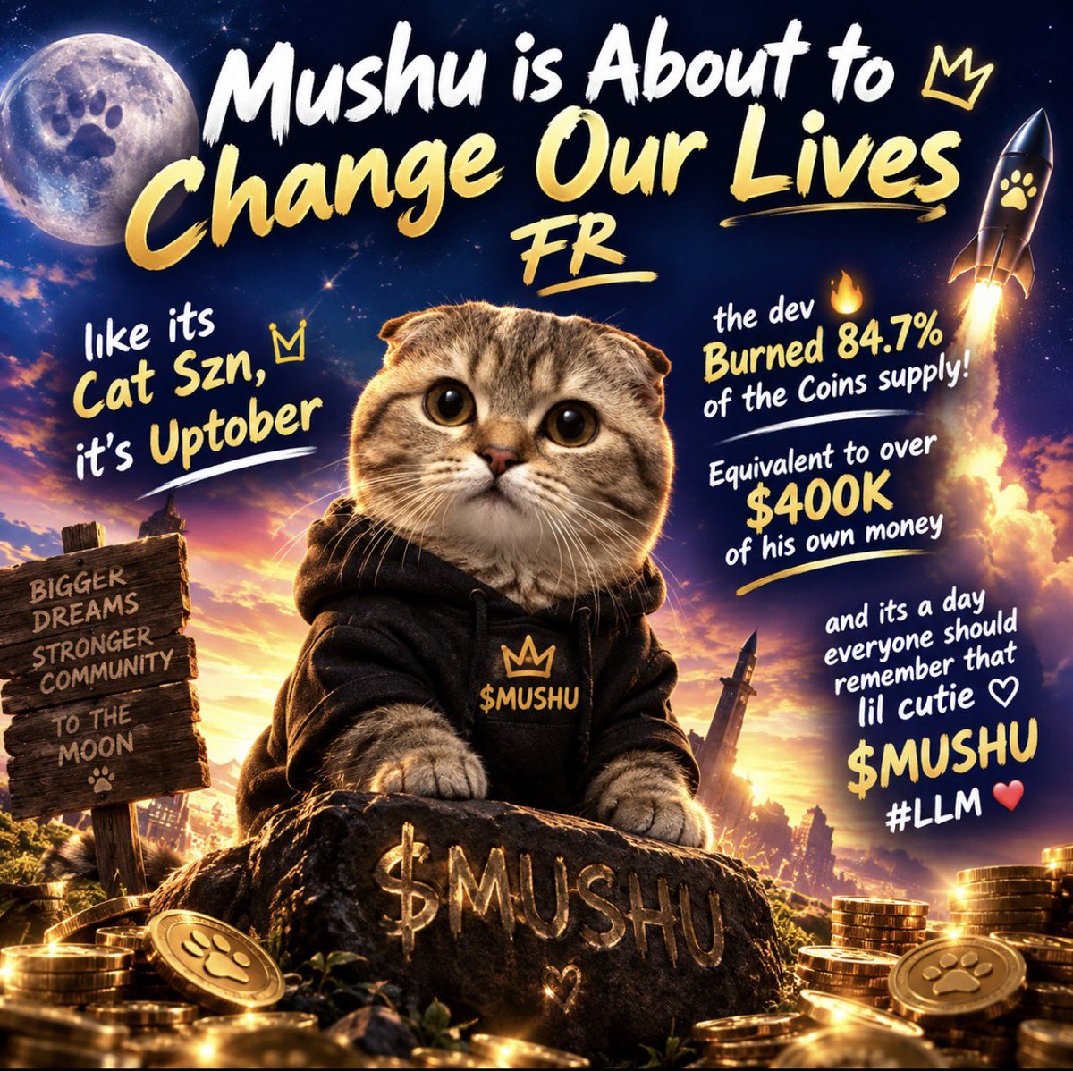 HYPURRonNosh's tweet photo. solana:5Jr9hGmJgxBRjjF8XGcGgQzXUdsbpZNNMpigEv8Wpump #LLM Best Cat Coin on Solana ❤️ https://t.co/Ic0jBsEnDn