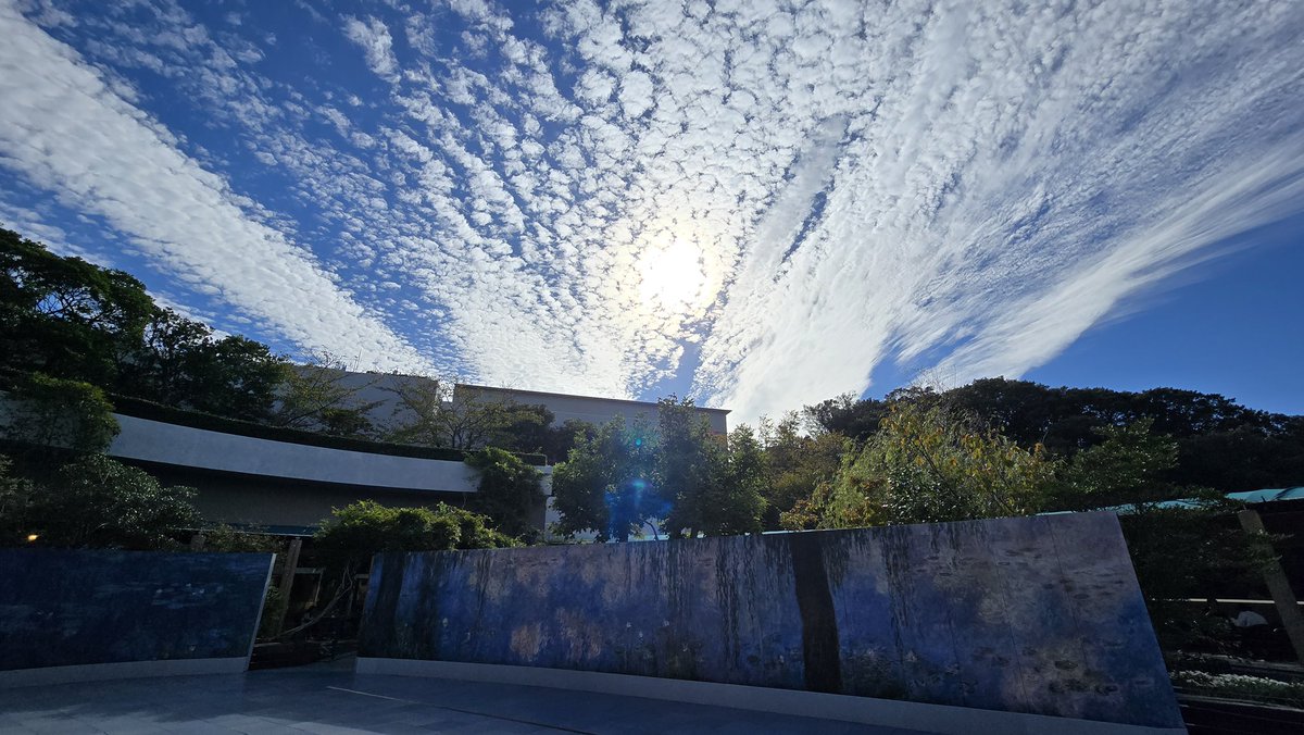OtsukaMuseum's tweet photo. 空までアート✨
#大塚国際美術館
#モネの大睡蓮 https://t.co/Xybhyeneb1