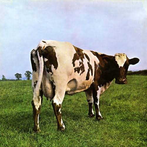 progrockpills's tweet photo. Pink Floyd  - Atom Heart  Mother

Il 2 ottobre del 1970 i Pink Floyd pubblicano per la Harvest il lp Atom Heart Mother. 
Disco celebre anche per la copertina della  Hipgnosis che raffigura una mucca, Lulubelle III, senza indicazione del nome della band. 
La prima facciata del disco è interamente occupata dalla suite Atom Heart Mother realizzata con il contributo di Ron Geessin sia per le partiture per l’orchestra sia per la direzione della stessa. La registrazione non fu semplice in quanto la base di basso e batteria non andava perfettamente a tempo ciò che aveva messo in crisi gli orchestrali. 
Il lato B è composto da quattro brani, la ballata acustica If di Waters, Summer 68 di Wright (uno spaccato di un aspetto della vita on the road), Fat old Sun di Gilmour che la suona quasi da solo (compresa la batteria) brano destinato ad essere suonato live in versioni molto dilatate (bellissimo il solo di chitarra) e la bizzarra Alan's Psychedelic Breakfast   brano strumentale che chiude il disco. 
Atom sarà il primo disco dei Pink Floyd a raggiungere il primo posto della classifica delle vendite in Inghilterra. Nel proseguo i membri del gruppo hanno in varie occasioni espresso giudizi negativi sul disco, soprattutto Roger Waters e David Gilmour. Richard Wright ha ricordato che: “Non è che scorra molto bene. E’ piena di modifiche, non è che mi convincesse del tutto. A quel tempo mi piaceva ma adesso, se mi guardo indietro, non sono soddisfatto delle registrazioni, anche se mi sono divertito moltissimo mentre ci lavoravamo”
Il brano principale del disco prende le mosse da alcune linee melodiche e di accordi emerse nel corso delle registrazioni della colonna sonora di Zabriskie Point ma viene sviluppato dal vivo a partire dal 17 gennaio del 1970 (a Cottingham) con il titolo provvisorio di The Amazing Pudding. 
Il disco viene mixato da Peter Bown coadiuvato da un giovanissimo Alan Parsons che tornerà a lavorare con il gruppo per The Dark Side of The Moon. 
@pinkfloyd #Yesterdaypills #RockandOthers #Progrockpills #ProgRock #Musicalmind