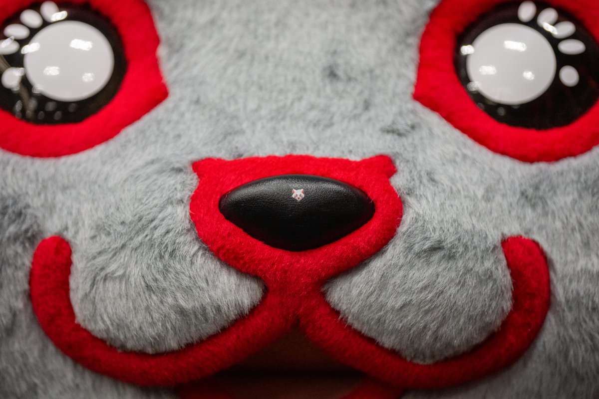 voreas_official's tweet photo. 同じ北海道に、かわいいウサギが来るそうです。🐺

先に言っておきます。いちばんかわいいのは、うちのヴォレです。

ぎーぴょんも、かわいいですよ。2番目に。

10/3(土)・4(日)、上川町総合体育館。
13:00開場／14:00試合開始。

#ヴォレの方がかわいい #道内ダービー #ヴォレアス北海道 #旭川 https://t.co/c55SOYpytT
