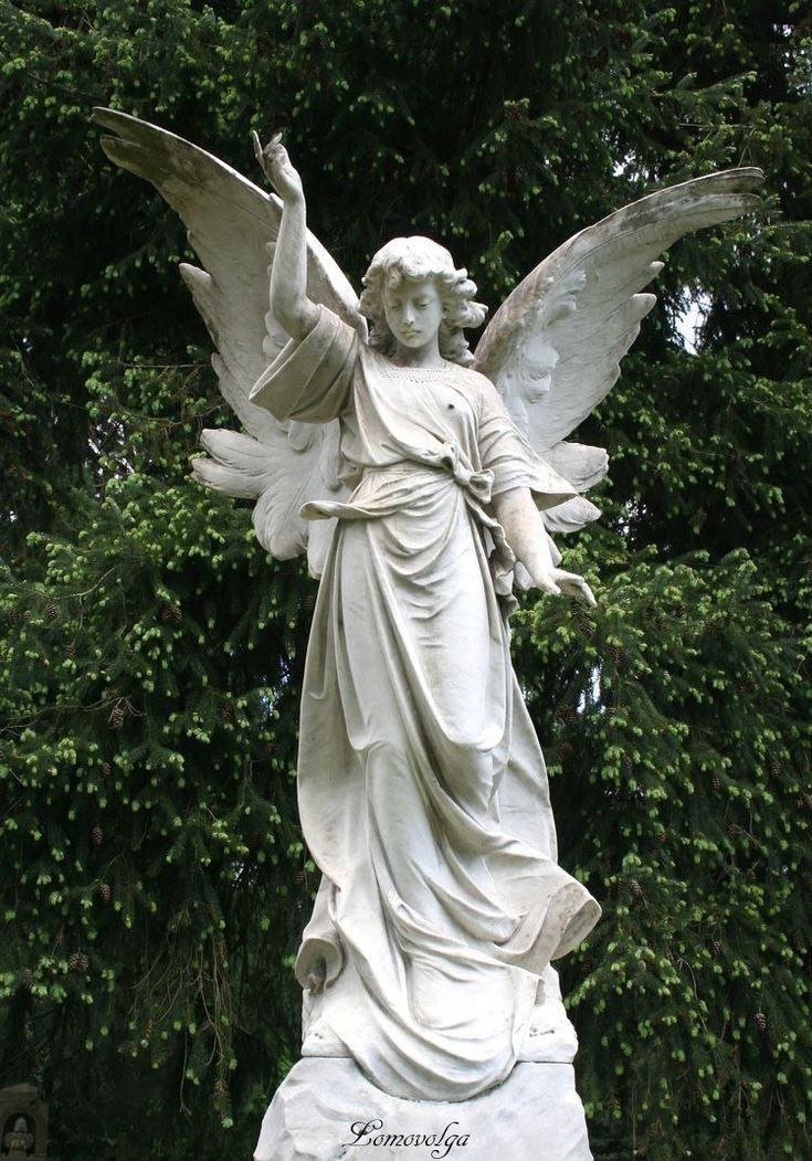 Primicias_Cor's tweet photo. ✨2 de octubre, día de los Santos Ángeles de la Guarda✨

«Ignora al demonio y no le temas; porque el tiembla y huye ante la mirada de tu ángel de la guarda.».

~San Juan Bosco https://t.co/KHzHZYugmY