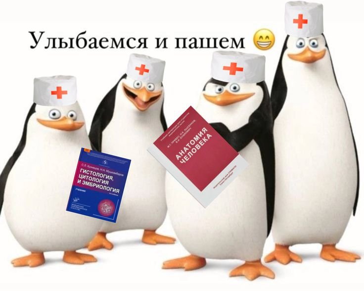 lirikkaw's tweet photo. утро доброе
сегодня такой вайбик: https://t.co/HVEsBP2hyU