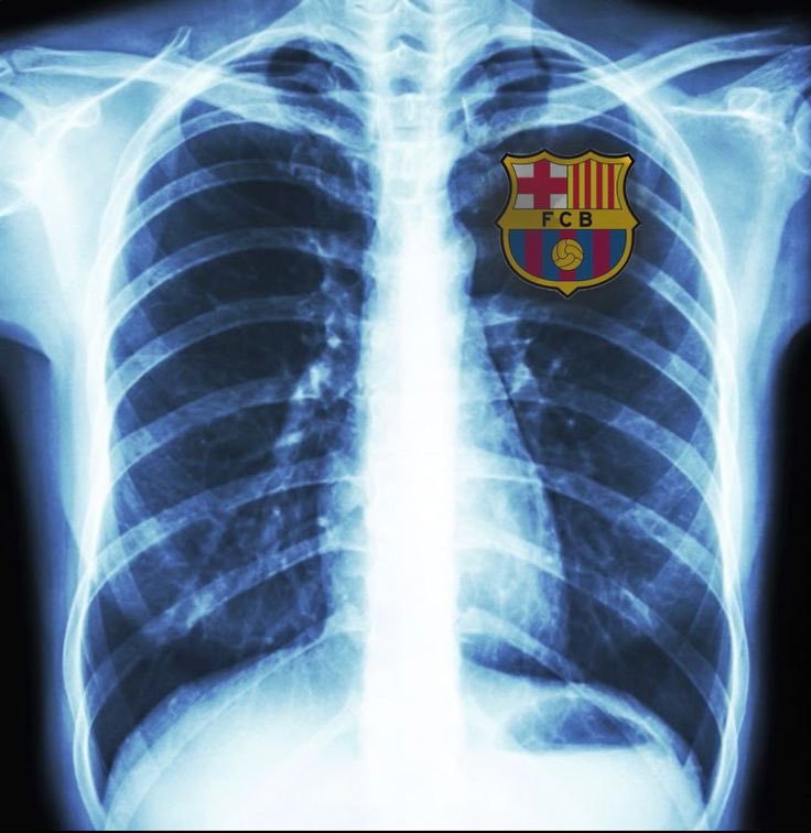 Nocontext_FCB's tweet photo. https://t.co/PHET5ZoFUK