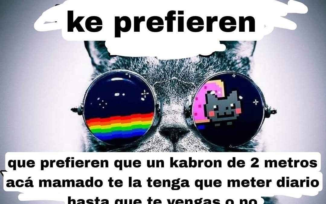MariusZihmtr's tweet photo. @Erosole888 https://t.co/vVAgvak6EG