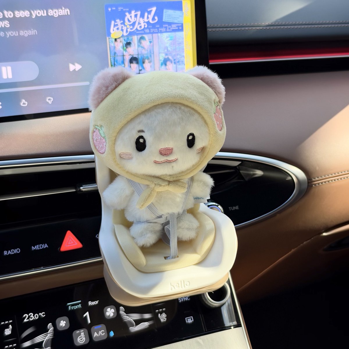 twsyujoo's tweet photo. 우리 쪽 일등석 태워줬어,, #신유 https://t.co/Qsbf1qFBme
