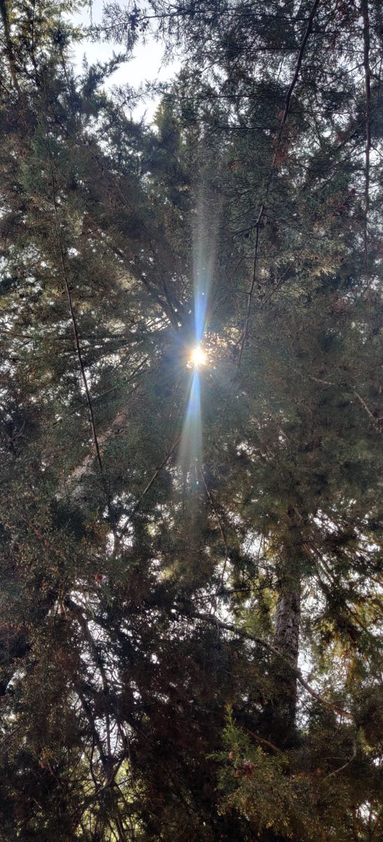 sassyluv's tweet photo. Ethereal sunrays near Mt. Kīrīnyaga... https://t.co/I7F9y5o8Xt