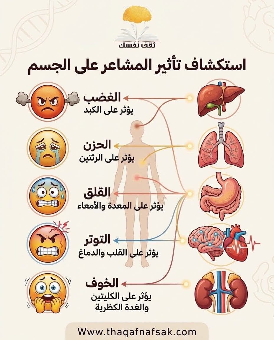 Thaqafnafsak's tweet photo. #تأثير_المشاعر #المشاعر_والجسم #الصحة_النفسية #ثقف_نفسك https://t.co/7YloiffpfS