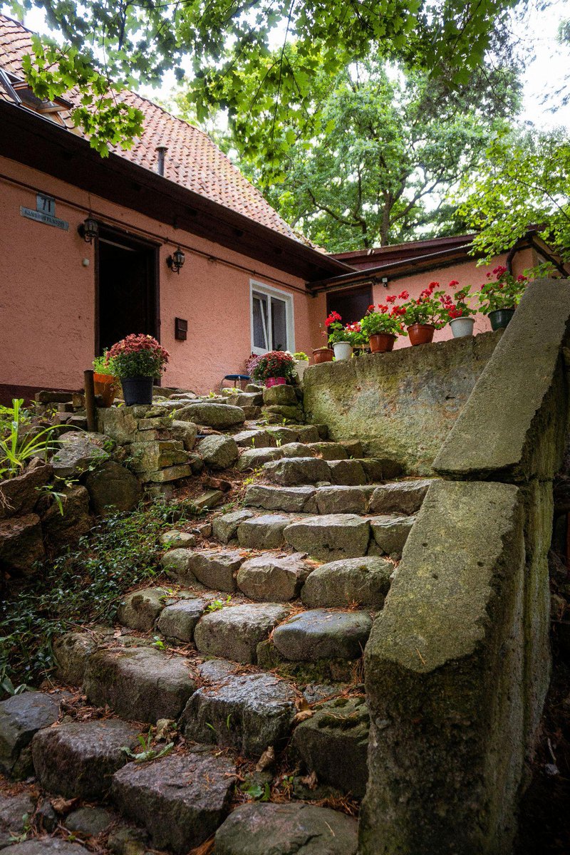Nurhida31394765's tweet photo. The restored steps look so reliable, with people feeling at ease to stay on them—warm, harmonious vibes! https://t.co/0W7ZIych8r