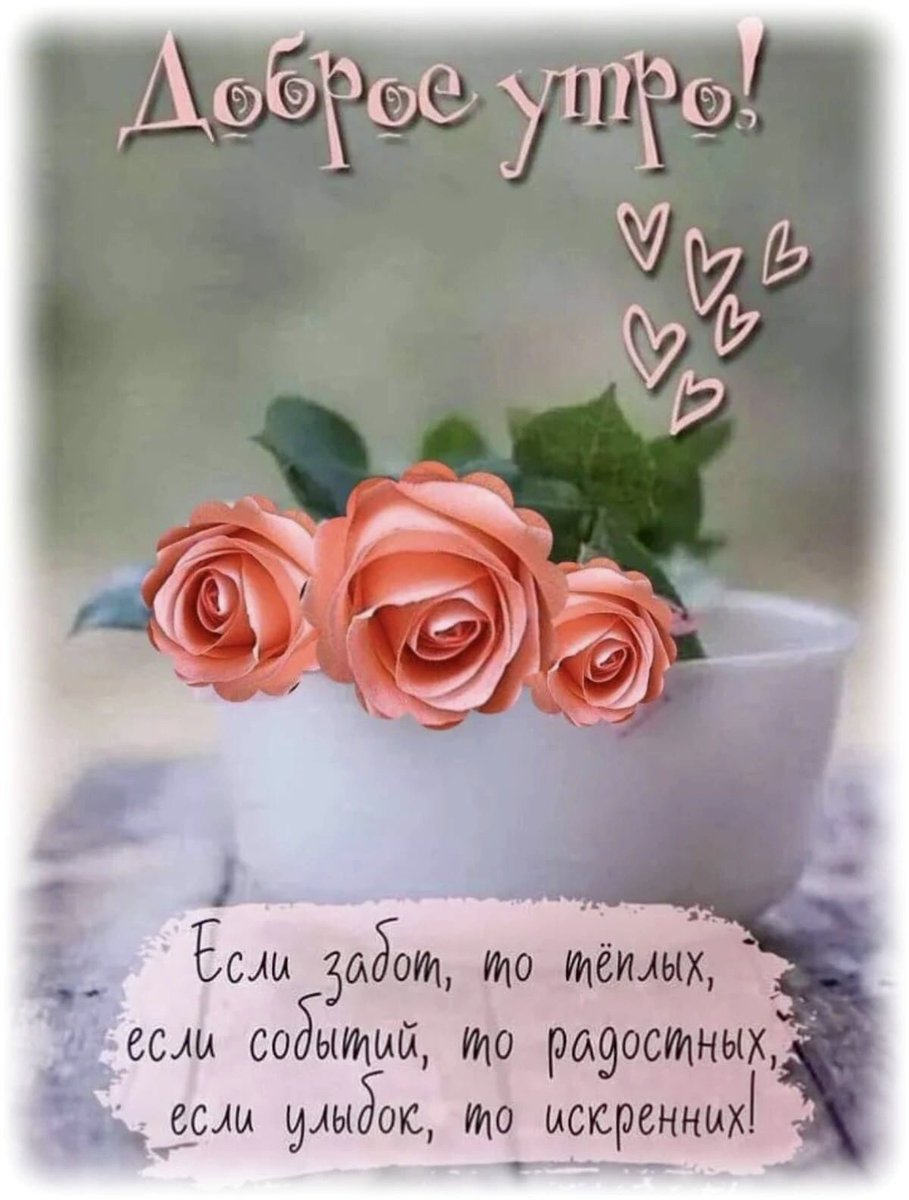 MilaDimitri1's tweet photo. Всё  будет хорошо,  
не вечны горести, 
Мир светлыми  надеждами, 
согрет. 
Запомни,  в нашей жизни,  
будто в повести, 
За тёмной ночью,  
следует рассвет!!! https://t.co/cN5at77mMa