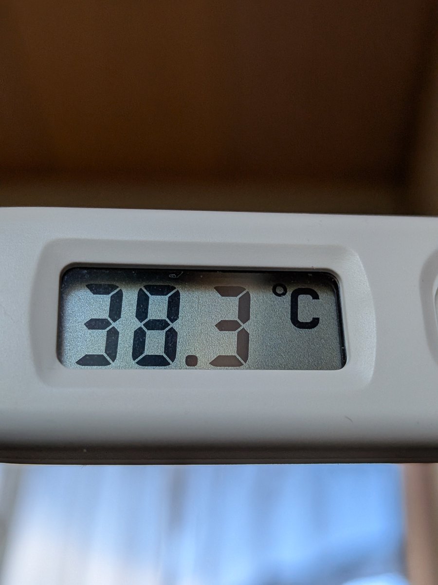 youh0118's tweet photo. マジグングングン
熱ありすぎて滅！
心拍数はみるみる上昇中

冗談はさておきおやすみ https://t.co/FrALfWWXyN