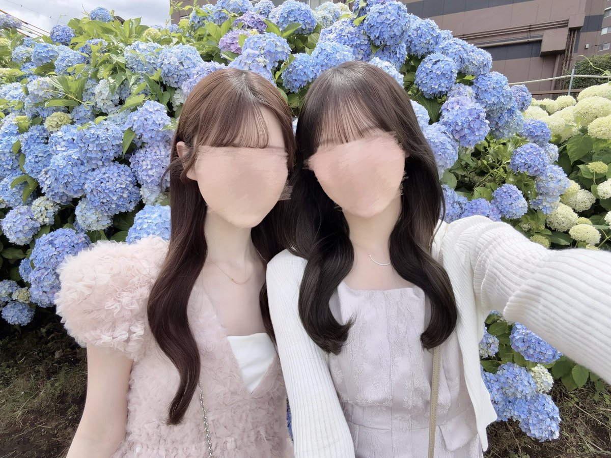 halsted_justin's tweet photo. 紫陽花きれいだった♡ https://t.co/K32vh3Tr82