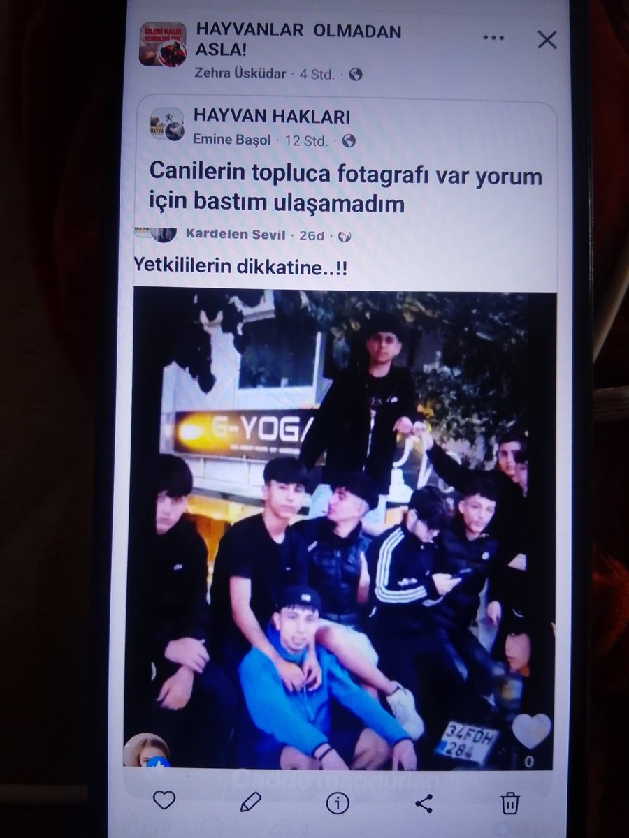 JeglogGogmog's tweet photo. @vetusarce @abakingurlek @adalet_bakanlik @AnkaraValiligi @BursaValiligi Adalet https://t.co/TsSJSjk77K