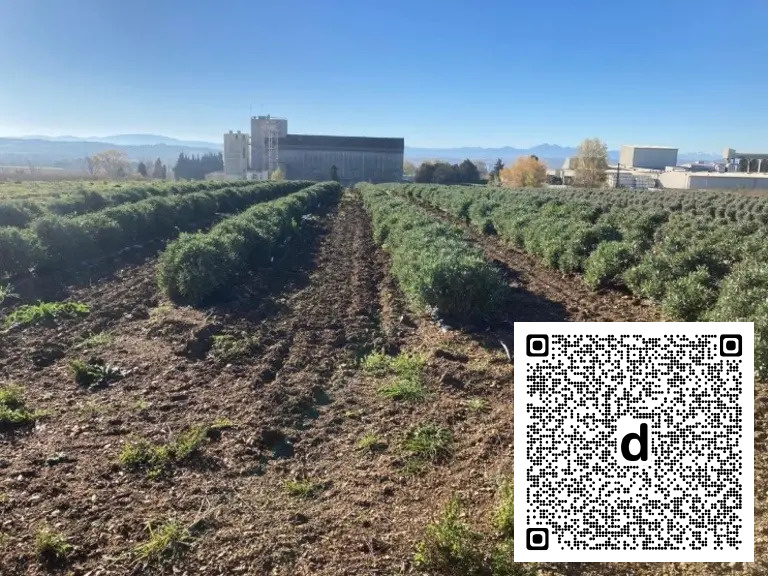 AgriGoodNews's tweet photo. #AgriGoodNews - Arterris et GuaTecs ont mis en place une nouvelle culture en Occitanie : le #guayule, arbuste adapté aux conditions semi-désertiques. Les premiers essais étant concluants, les deux partenaires souhaitent développer la filière. dlvr.it/TVl1j5 https://t.co/F9e6ne2F3s