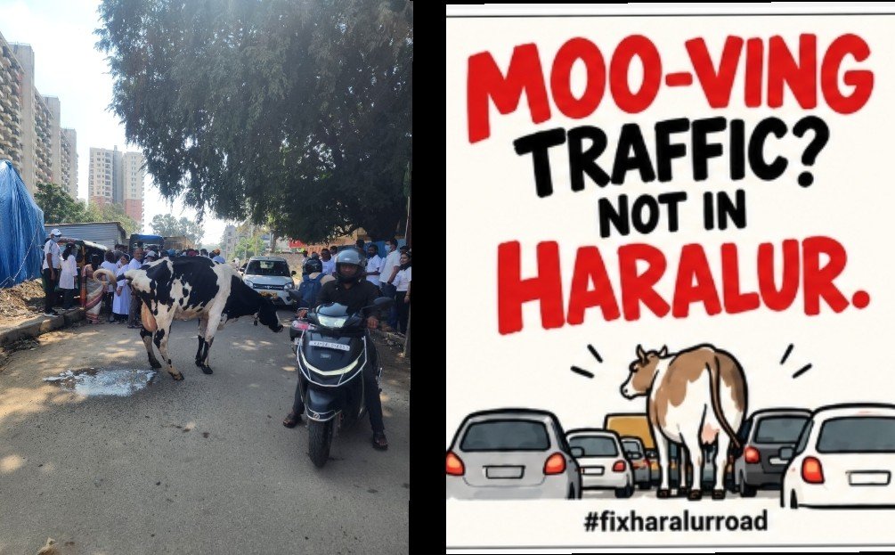 R_KP's tweet photo. #FixHaralurRoad #Kasavanahalli @comm_blr_south @MALimbavali @krishnabgowda #NammaHaralur https://t.co/SBNJOg7oYw