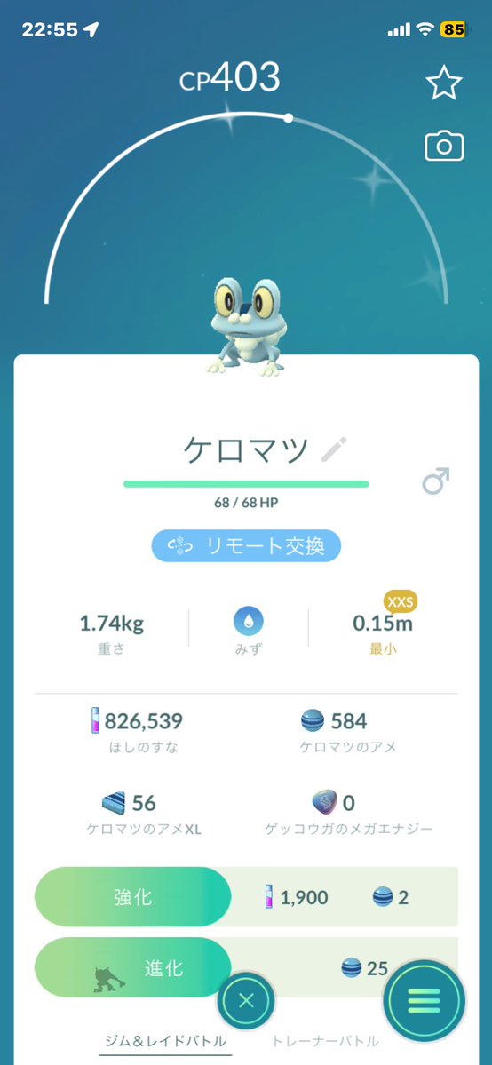 Syogaaaaaa's tweet photo. @kun___r___ @qMmHUl9fMn66634 初めまして。このポケモンたちとの交換はどうでしょうか？ガブリアスはレガシー技覚えてます。 https://t.co/2GC8ufcQYi