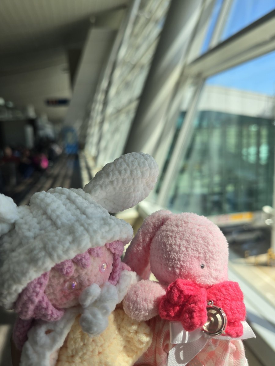 shuti0224's tweet photo. 티티랑 함께🩷✈️ https://t.co/2gNpdoIctu