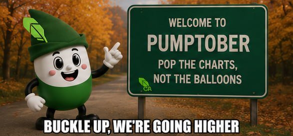 denisko331's tweet photo. @Salemxbt October is here, and you already know what time it is, $PUMPTOBER season. Fresh month, fresh opportunities, and a whole new set of plays to watch. 

Don’t just watch the next move, get in early and ride the PUMPTOBER narrative. 

0xee93785e59f91771c0a48fb93613adf3fdfd77fd https://t.co/mLdqu3sHsB