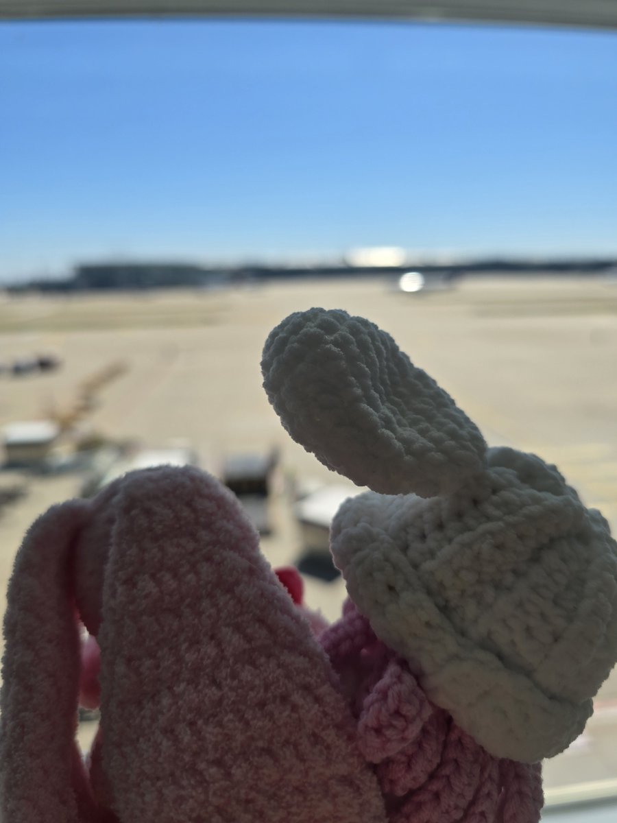shuti0224's tweet photo. 티티랑 함께🩷✈️ https://t.co/2gNpdoIctu