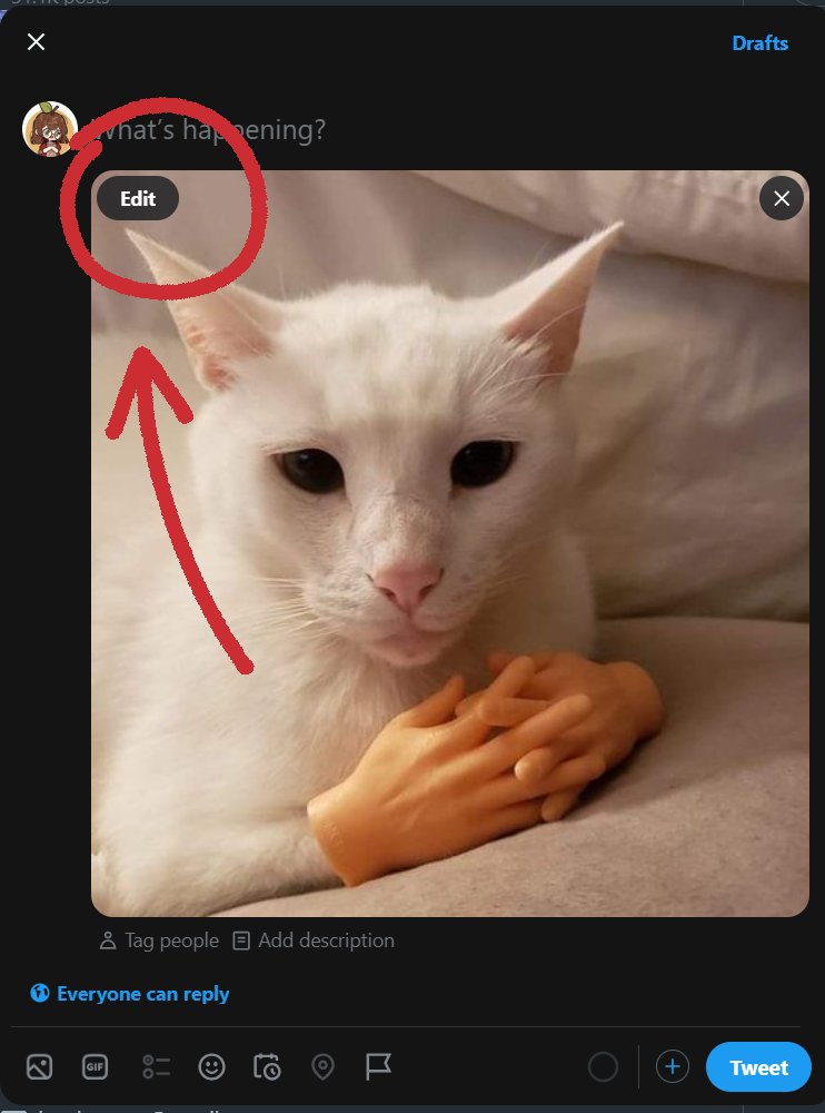 AlmaKRowan's tweet photo. this is how to make gork refuse to modify your art on here btw https://t.co/e8kI9k97hy