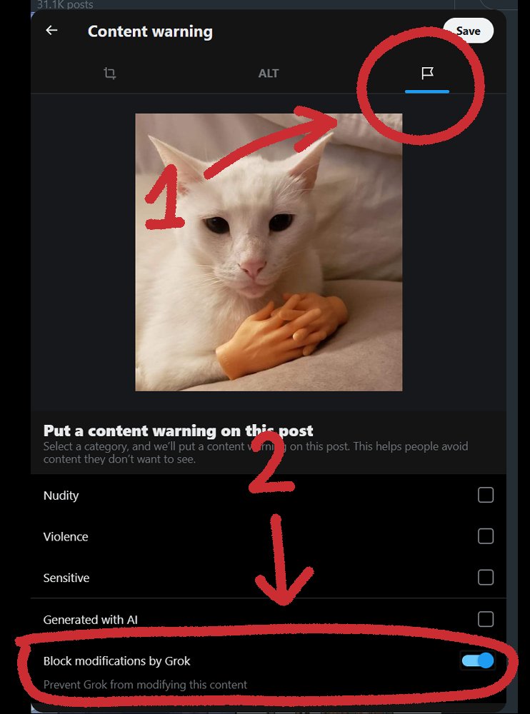 AlmaKRowan's tweet photo. this is how to make gork refuse to modify your art on here btw https://t.co/e8kI9k97hy