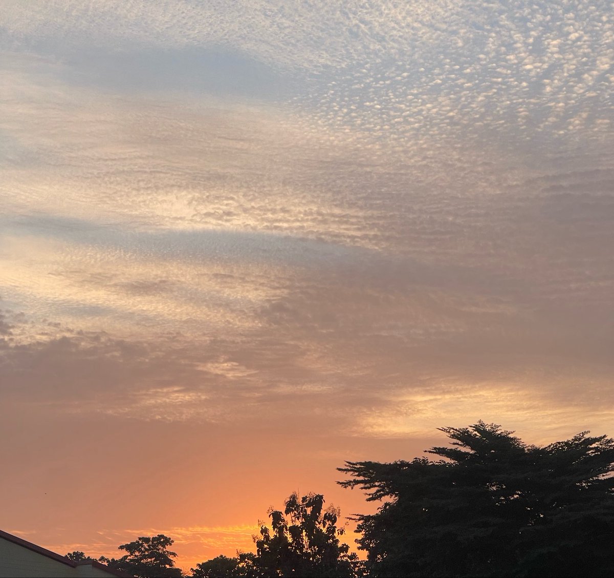 AnitaLondon19's tweet photo. Gm Gm! Saw the prettiest sun rise today!.

It’s the little things fr 😍💕 https://t.co/pIydZIfwUp