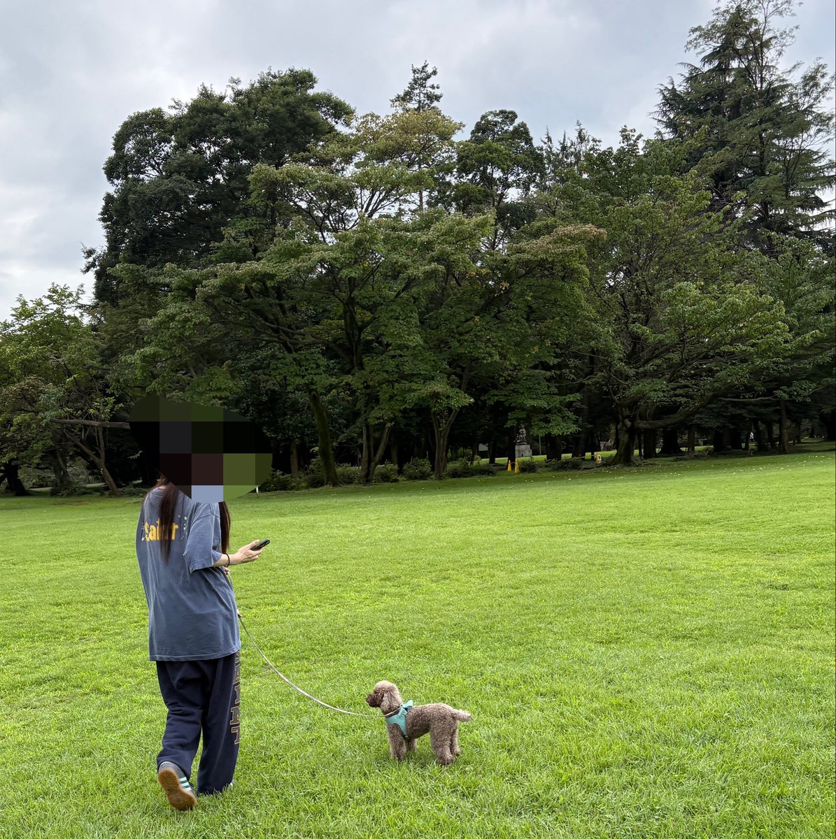 rakutaro0's tweet photo. 彼女と昼からビール飲んで

公園で愛犬達と散歩した。

帰ってシャワー浴びて焼肉食べに行く。

お金の事も気にせず、好きな人と好きな時間に好きな事出来る人生最高過ぎる。

こうやって遊んでる時も裏でアダコンがバンバン利益出してくれてるの助かるな〜 https://t.co/8MV8t8VEaZ