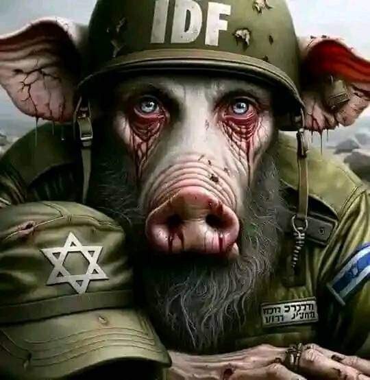 karimullah30108's tweet photo. @IDF الصهاينة باجمعها إرهابيين لعنه الله https://t.co/RtYLCpb2Wo