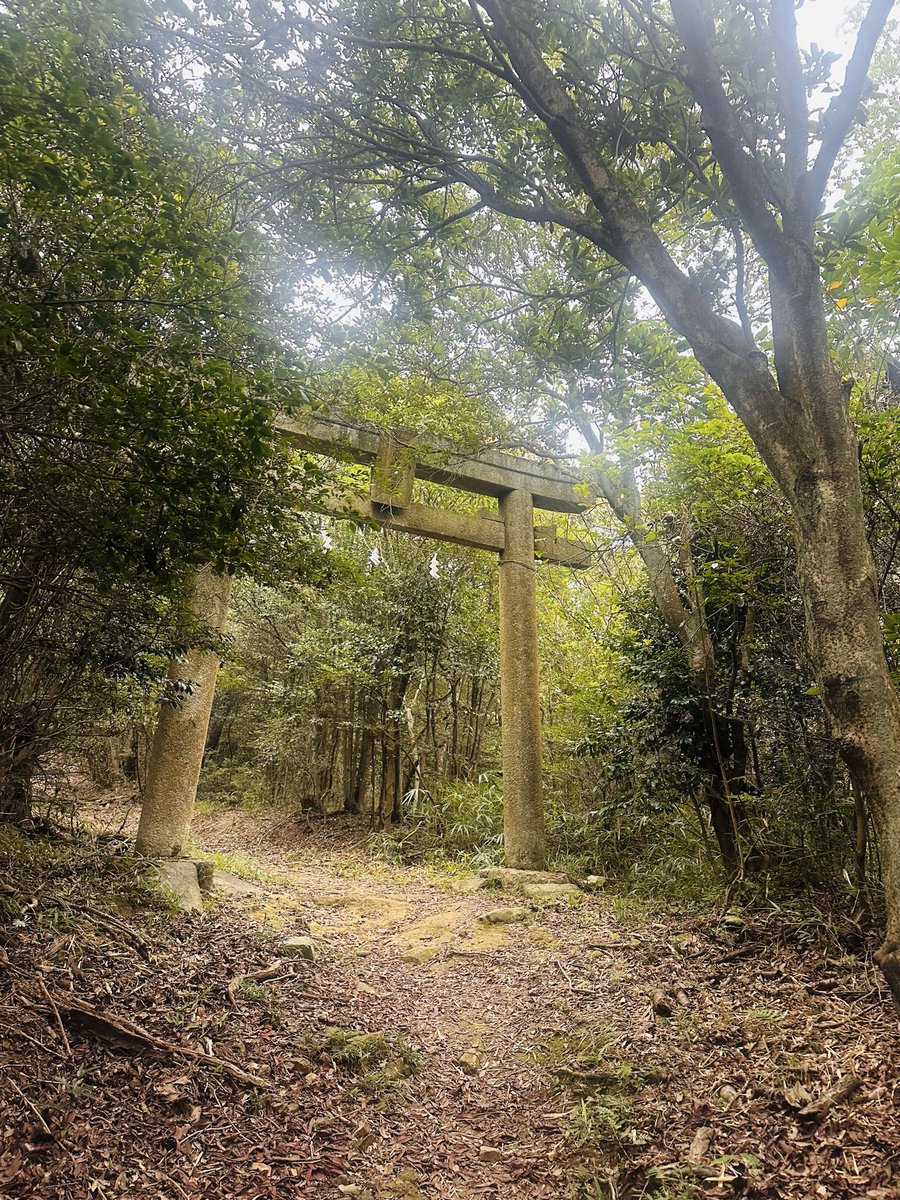 shizkan15's tweet photo. 光世先生が"必ずお参りするように"とメッセージを添えてまでの姫様の神社の
奥宮までは修験道そのものでした🙏
細い本当の険しい、誰もいない山道を一人で登る。
ズタズタで使命をされているAsami様や
光世先生を知っている。

魂に見合う肉体でありたい。

#光世先生
#木花咲耶姫様 https://t.co/xRfOSfLave