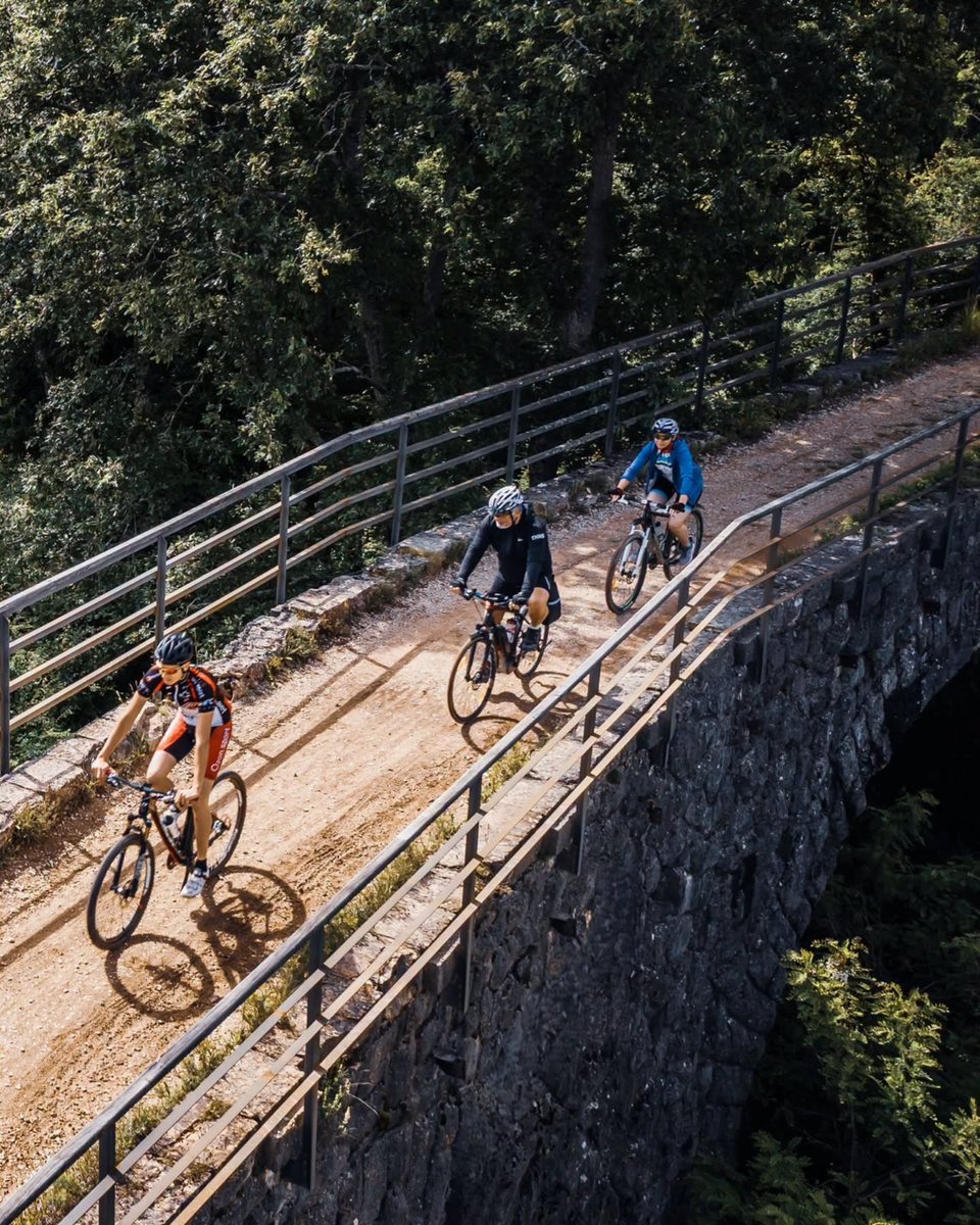 ColoursofIstria's tweet photo. Autumn is calling on the #Parenzana! 🚴🏼🍁🍂 https://t.co/RdT0vTcGRR