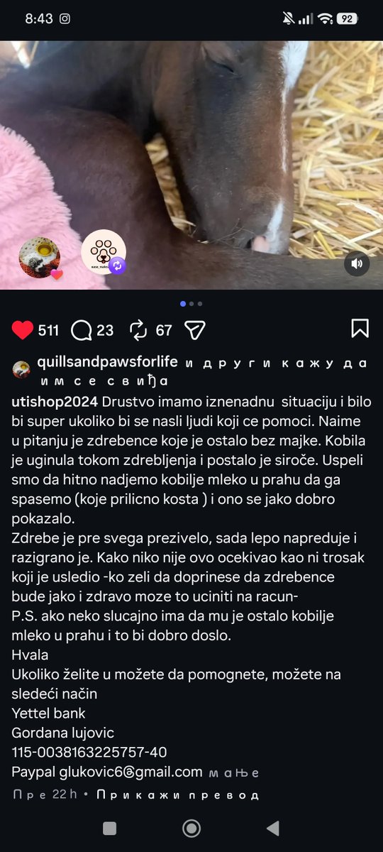 sanjazivi's tweet photo. Hitno potrebna pomoc https://t.co/XrbVFjFfrP