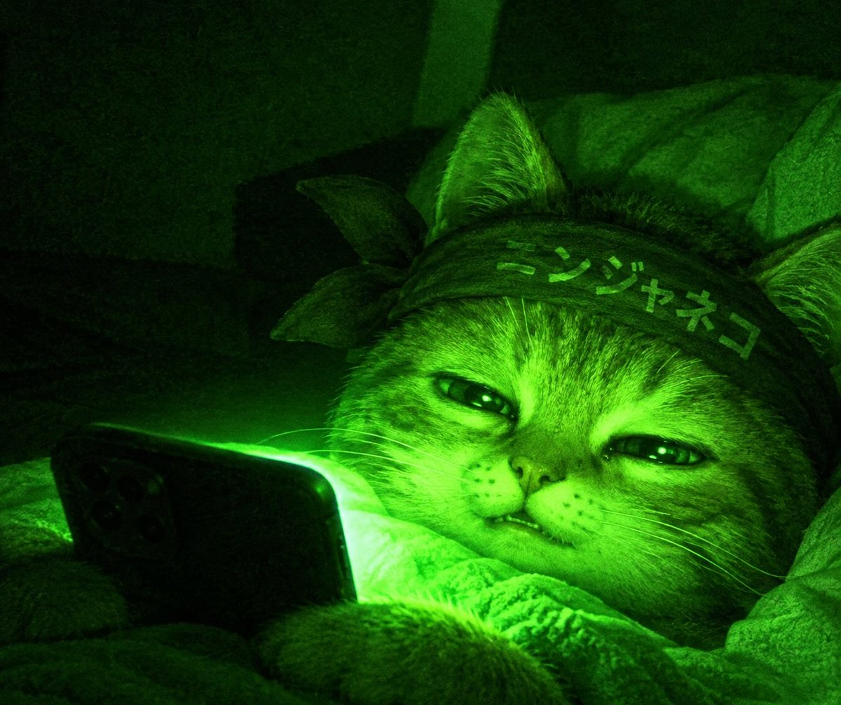 CrenshawNews's tweet photo. Clever Courageous Cats Emerge, Charging Relentlessly; Victory Comes, Vanishes X-treme Naysayers, Crushing Incredible Knights Under Ninja Banners, Boldly Rising Victorious, Inspiring Investors, Leaving Doubters In Gloom, Victory Grows, Chasing Immortality, Running Under Cloaked Justice, Fearlessly Gaining Legends, In History, Every Day, Hunting Champions, Victoriously.

$NINJACAT