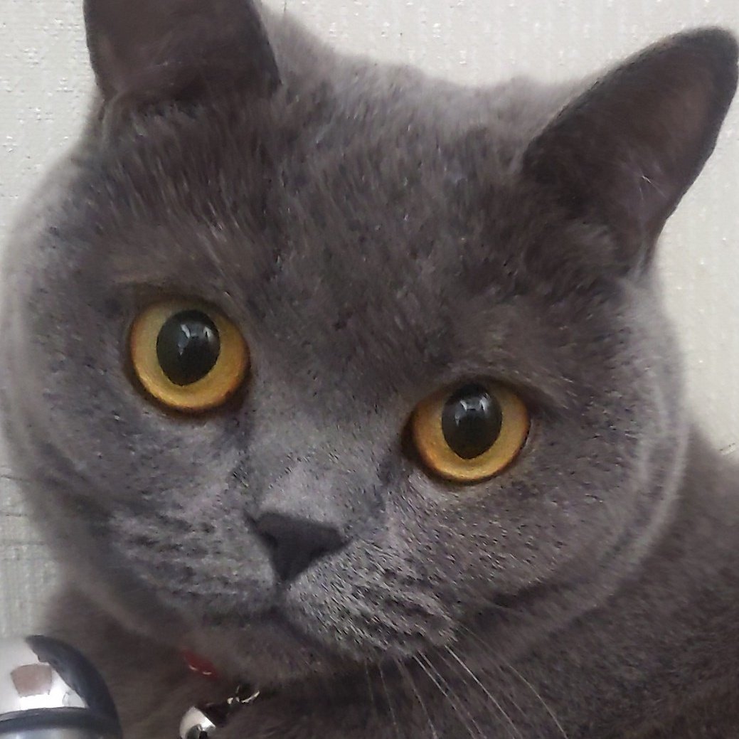 black925silver1's tweet photo. すわほー(*ゝω・*)ノ https://t.co/OsGwNejmYT