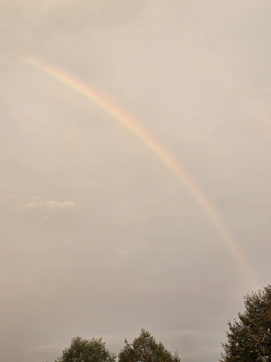 CryptoCarptr's tweet photo. GM 𝕏 🌈🔨

Some mornings the jobsite gives you a reminder to look up.

New day. New opportunities. Same mission.

Show up.
Do the work.
Keep the faith.
Keep building. 🧱

Have a great Friday, 𝕏.

#GM #Friday #TheCryptoCarpenter https://t.co/rHiyhug4AJ