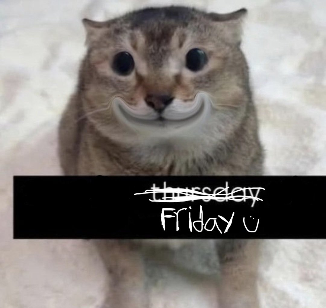 ProtoVeles's tweet photo. Goog morg https://t.co/AFa1Fl5Dzu
