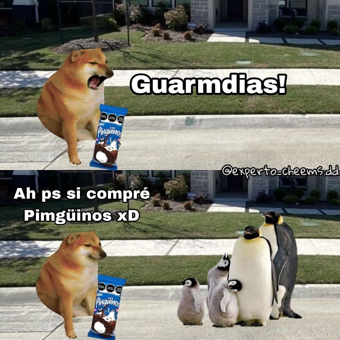 experto_cheems's tweet photo. https://t.co/H9WiPx9JNq