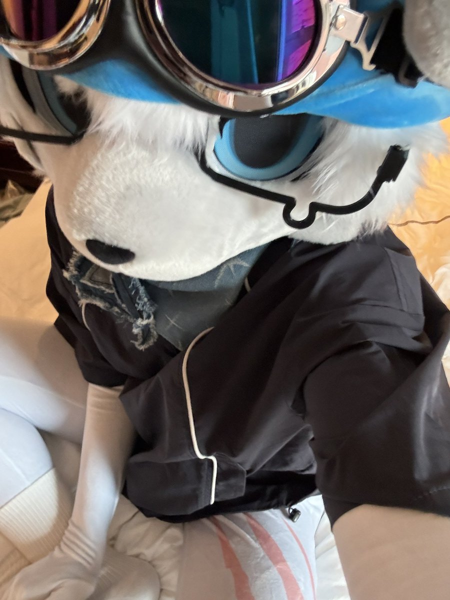 yangxu2007's tweet photo. 疤痕展示‼️#furry #fursuit https://t.co/FKzC5tZcv5