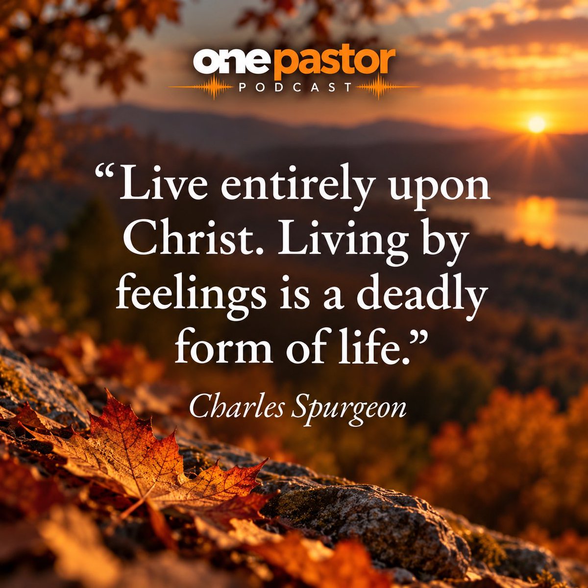 donnielafferty's tweet photo. Check out Donnie Lafferty | Author's video! #TikTok https://t.co/vxs85rSrQ8 https://t.co/QkD6gdsqmo