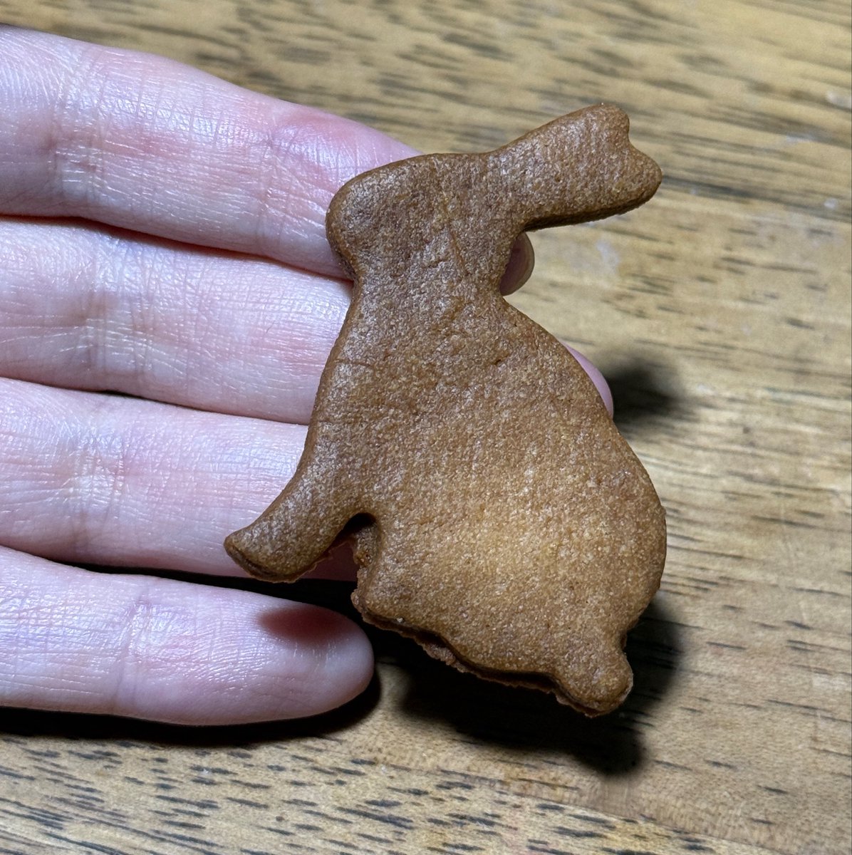 sajima_usuginu's tweet photo. 飾りが犬神家だと思われてる件
うさぎ！うさぎ！ https://t.co/G9n6dXD50n