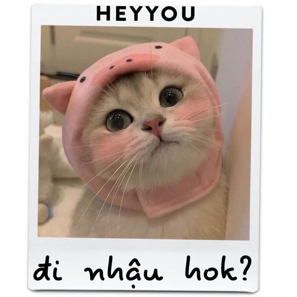VkckBDSM's tweet photo. Nắng đẹp lòng vui. https://t.co/IEyIy8POSp